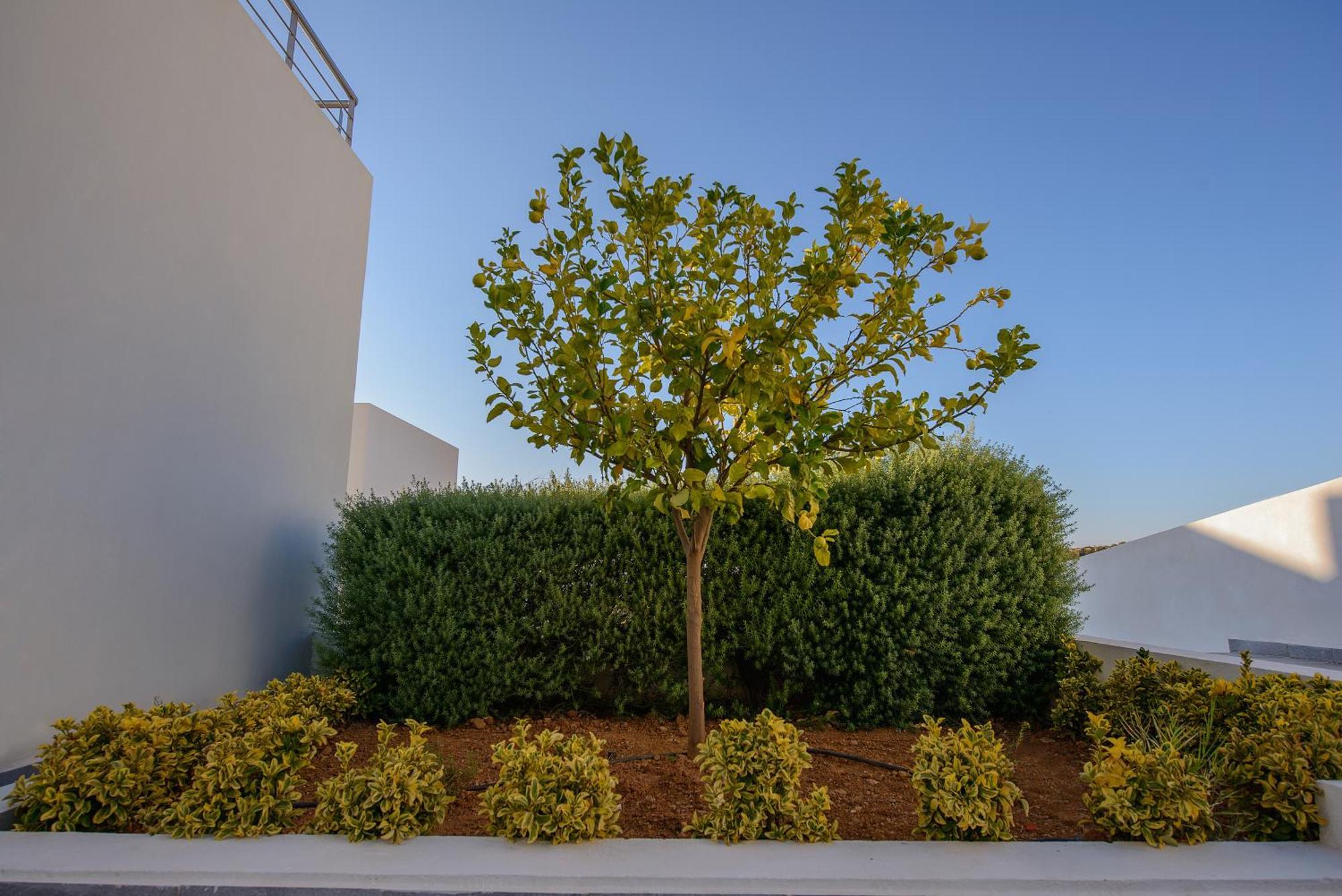 איה גליני Lenikos Resort מראה חיצוני תמונה